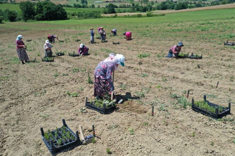 Kocaeli SEKAPARK, üreticiye destek veriyor 