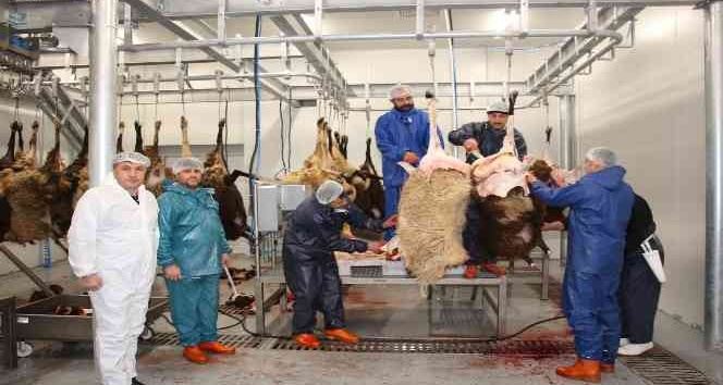 Oltu Cağ Kebap Fabrikası deneme üretimine başladı