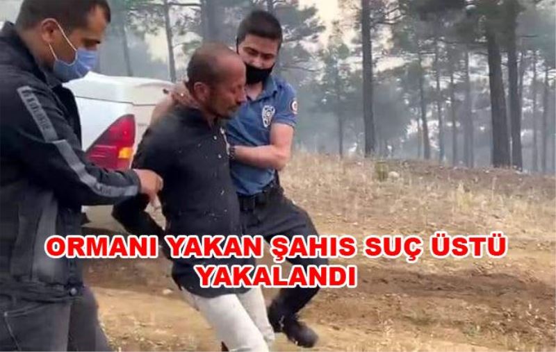 POZANTIDA ORMANI YAKAN ŞAHIS SUÇ ÜSTÜ YAKALANDI