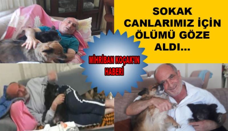 SOKAK CANLARIMIZ İÇİN ÖLÜMÜ GÖZE ALDI...