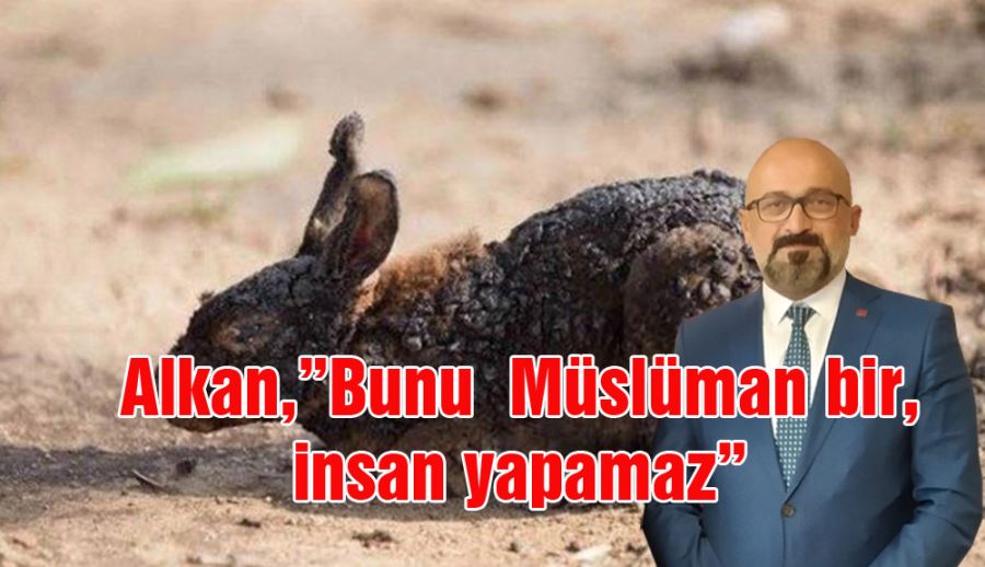 Veteriner Hekim Ahmet Metin Alkan,Bunu Müslüman bir insan yapamaz