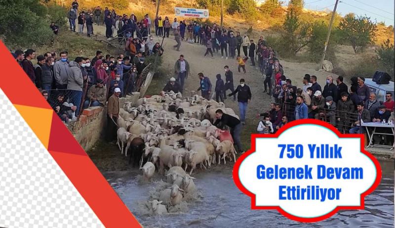 750 Yıllık Gelenek Devam Ettiriliyor