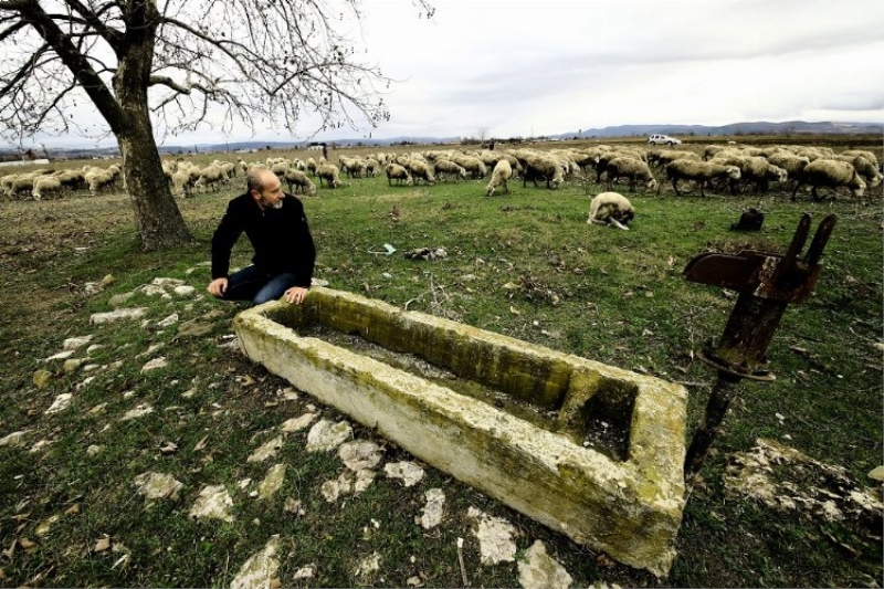 Bursa Yenişehir Ovası