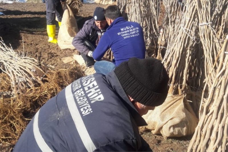 Muğla kozadan destek çıkarıyor