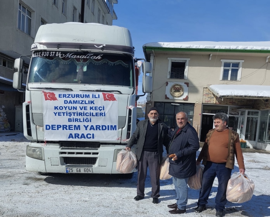 Erzurum İli Damızlık Koyun Yetiştiricileri Birliğinden Deprem Bölgesine Yardım 