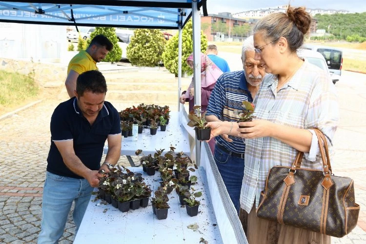 Kocaeli bayramda 