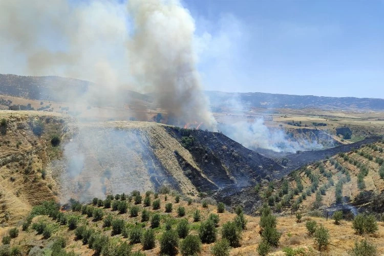 Manisa Alaşehir