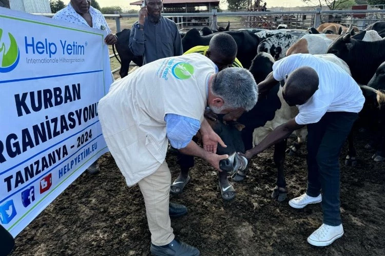 Kurban bağışları dünya mazlumlarının sofrasına ulaşacak