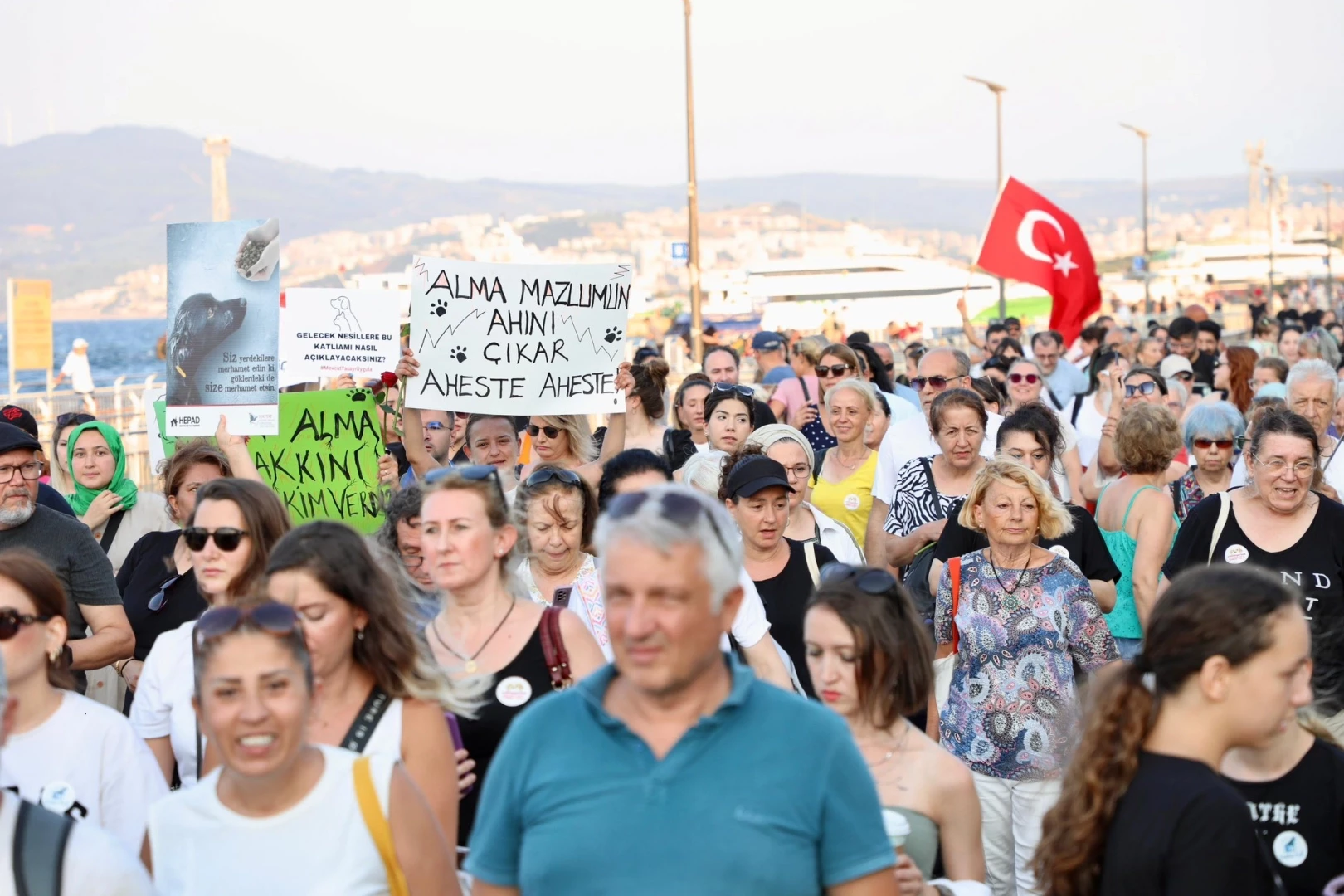 Sahipsiz hayvanlar için sesler Mudanya