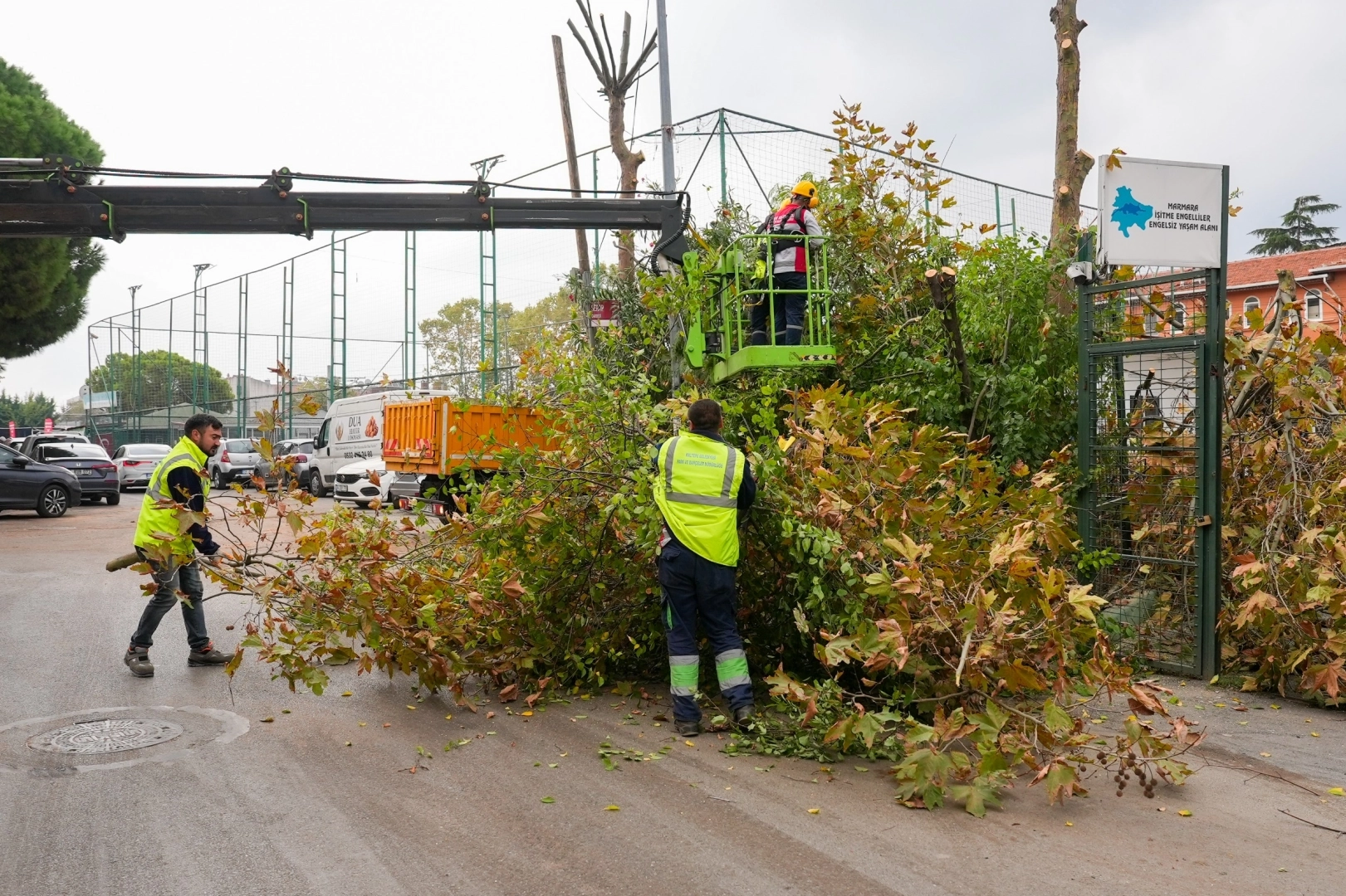 İstanbul Maltepe’de budama zamanı