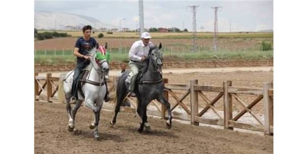 GELENEKSEL RAHVAN AT YARIŞLARI ERZURUM?DA YAPILACAK