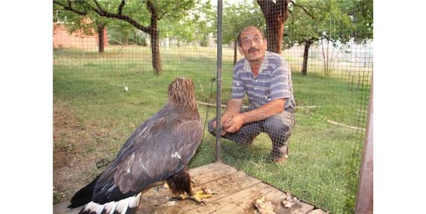 TEMBEL KARTAL TEDAVİ EDİLECEK