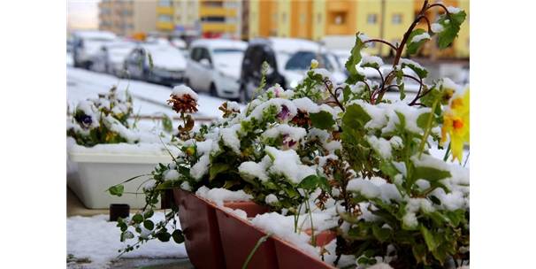 Doğu`da Sıcaklık Düşüyor, Salı Kar Geliyor