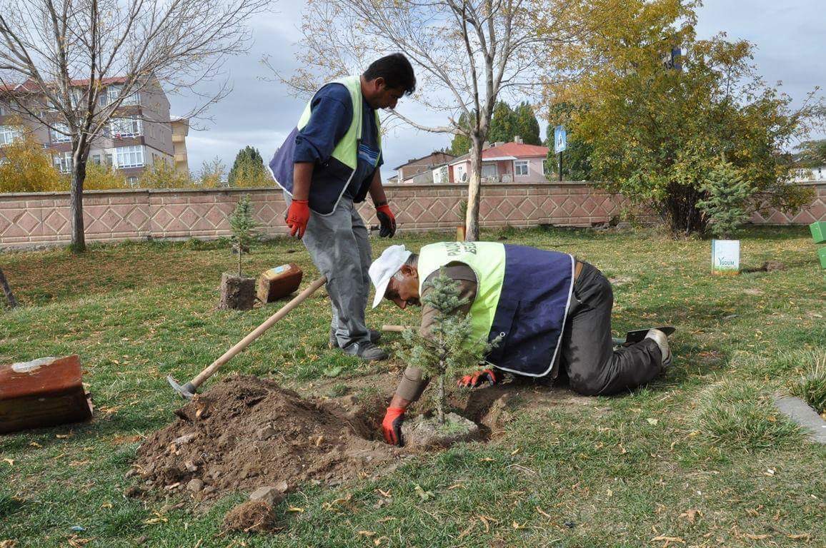 PALANDÖKEN BELEDİYESİ `` SEVDAMIZ YEŞİL BİR PALANDÖKEN `` SLOGANIYLA BİN FİDAN DİKİMİNE BAŞLADI