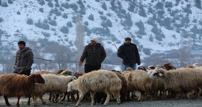 Akşarlılar kapalı hayvan pazarı istedi